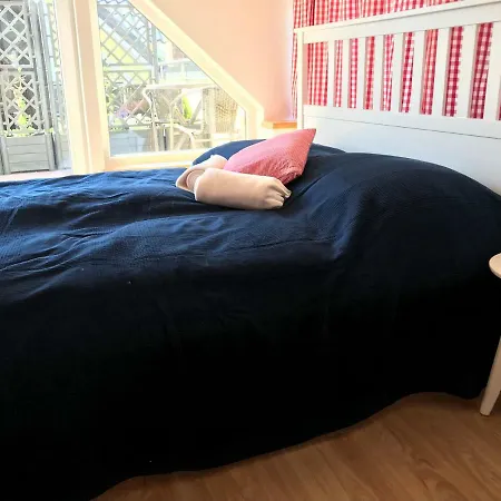Zum Storchennest Apartment *