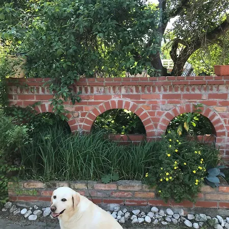 Zum Storchennest Kloster Wulfshagen