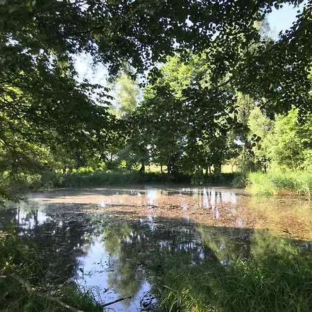 Zum Storchennest Appartamento Kloster Wulfshagen