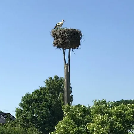 Zum Storchennest Appartamento