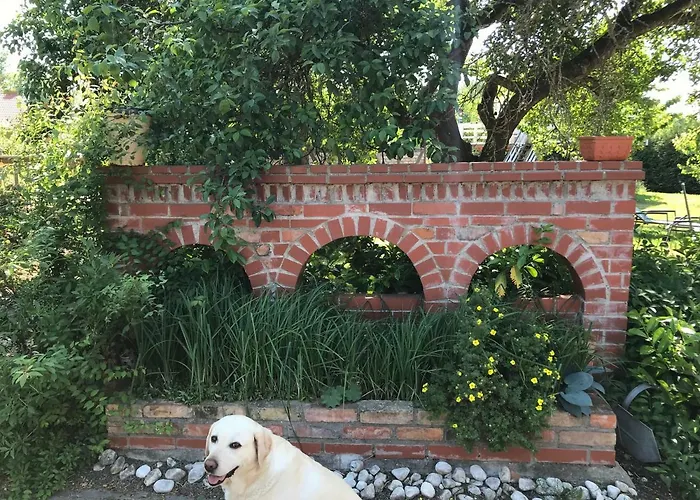 Zum Storchennest Kloster Wulfshagen